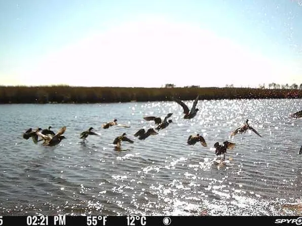 3241 Robbins Rd, Crapo, MD 21626