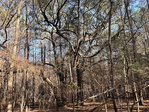 2nd image of  Bryants Landing Rd.