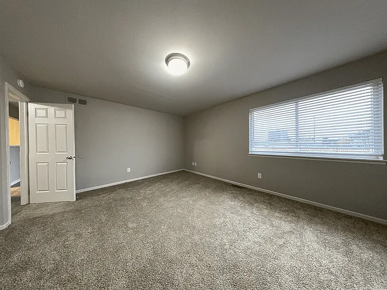 Large Bedroom with Overhead Light