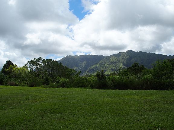 home site on 1 acre meadow