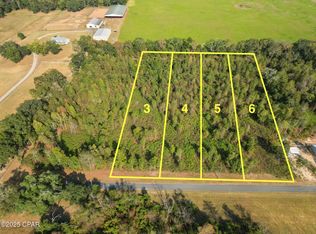 PARCEL 4 1st Ave, Graceville, FL 32440