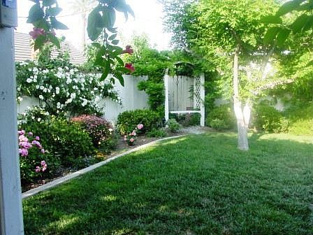 Covered patio, waterfall and pond, gardener's delight yard
