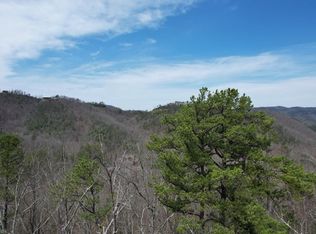106 Buck Board Ln #106, Sevierville, TN 37862