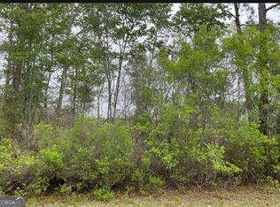 TRACT Four, Townsend, GA 31331