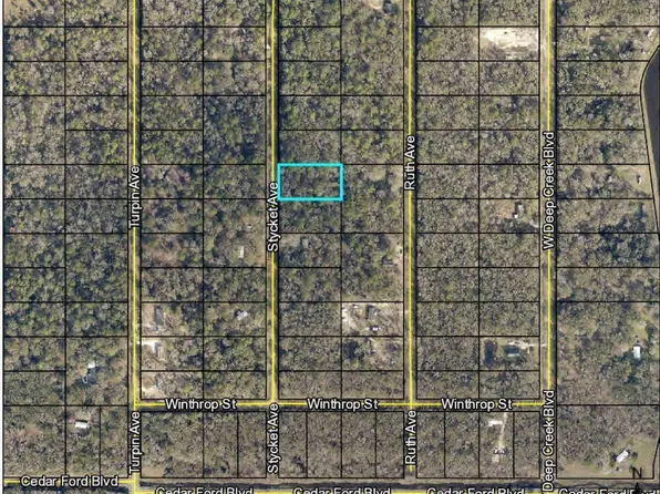 10260 STYCKET Avenue, Hastings, FL 32145