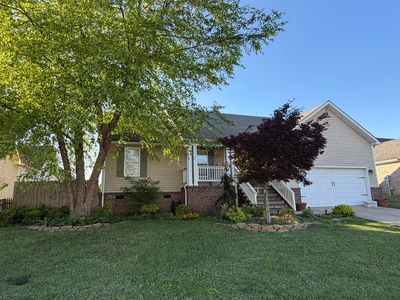 1136 Angelica St, Bowling Green, KY, 42104