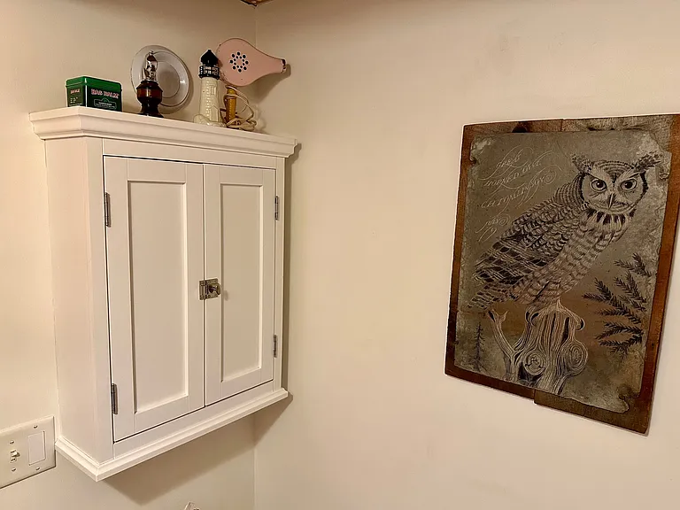 Bathroom hanging storage cabinet with slate etching of an owl.