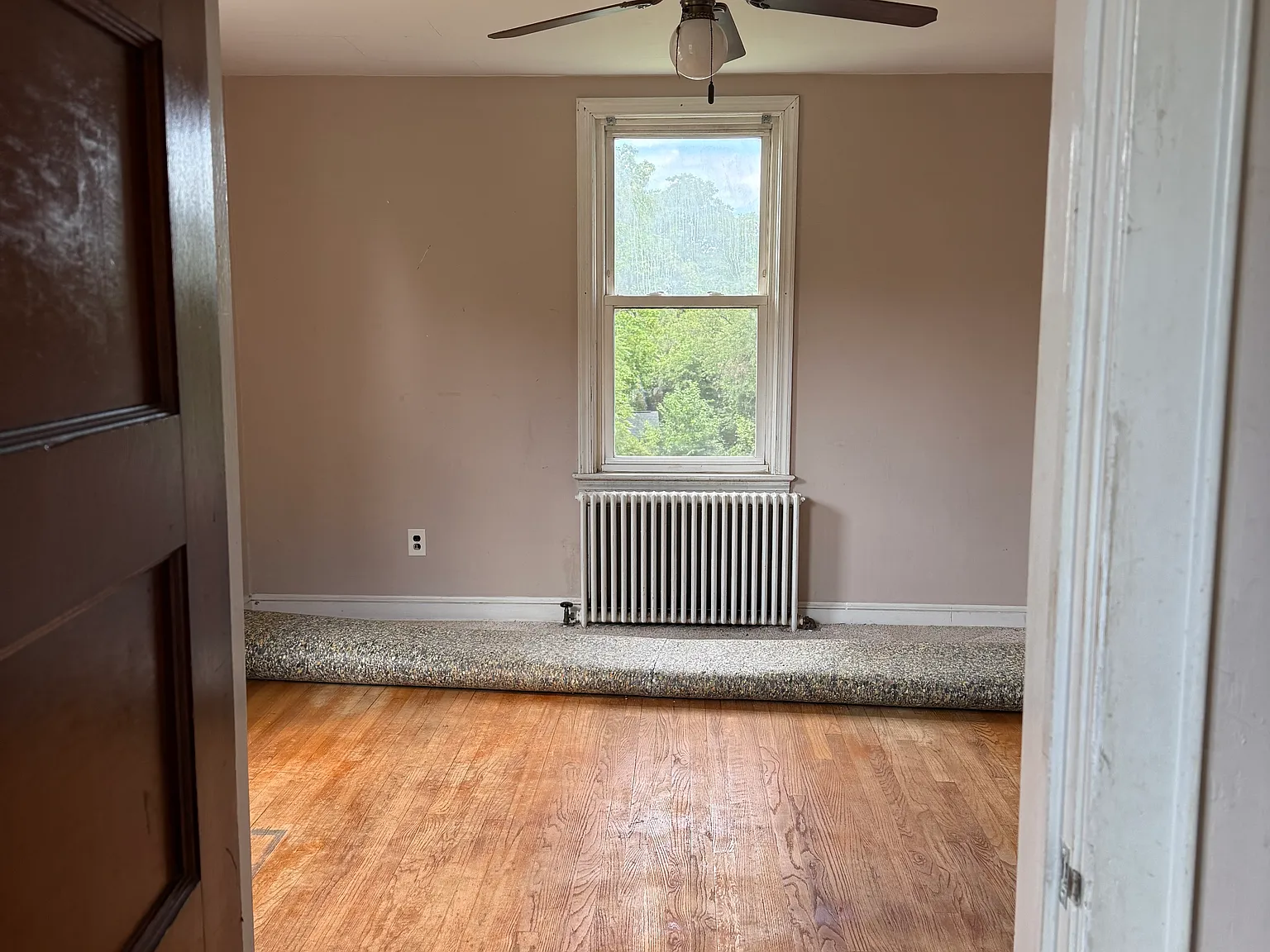 1 bed, 800 sqft, $1,400 — Photo 2