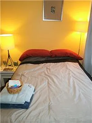 Rented by Living New York | media 19