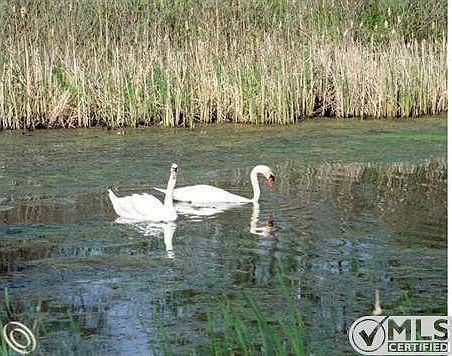 thepreserve - Copy.jpg