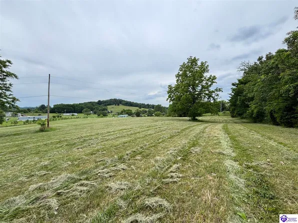 535 Sim Dowell Ln, Irvington, KY 40146