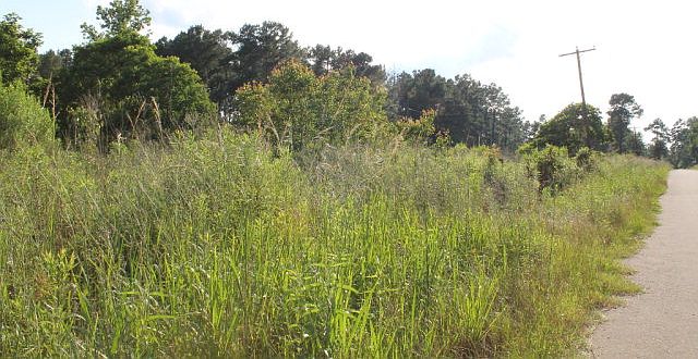 1st image of 560 County Road 2734