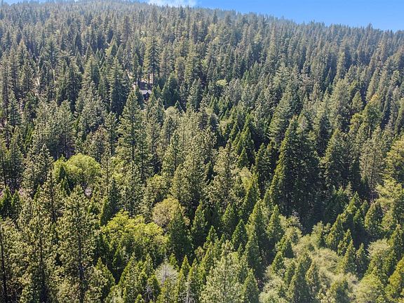 5th image of 2159 Sierra Pkwy