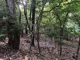 1st image of Lots 15&16 Vinita Cir