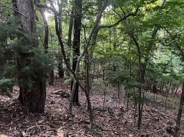 Lots 15&16 Vinita Cir, Afton, OK 74331