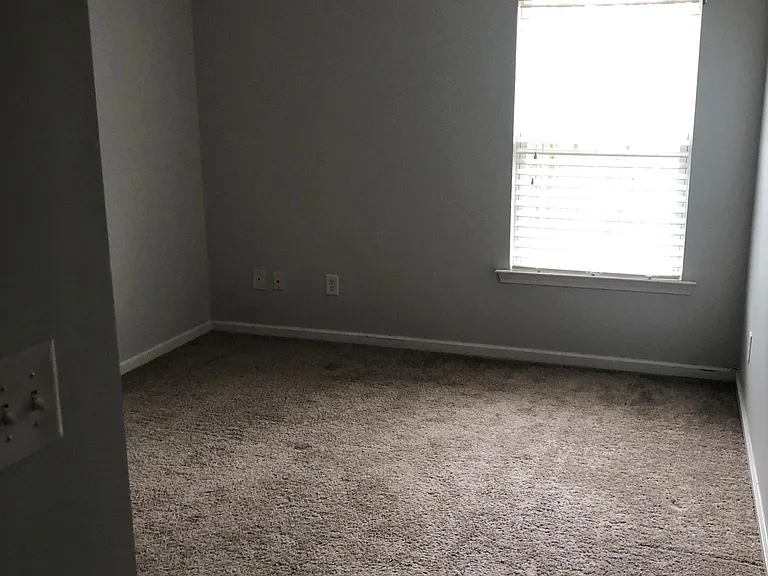 209 Apple Drupe Way — Photo 7
