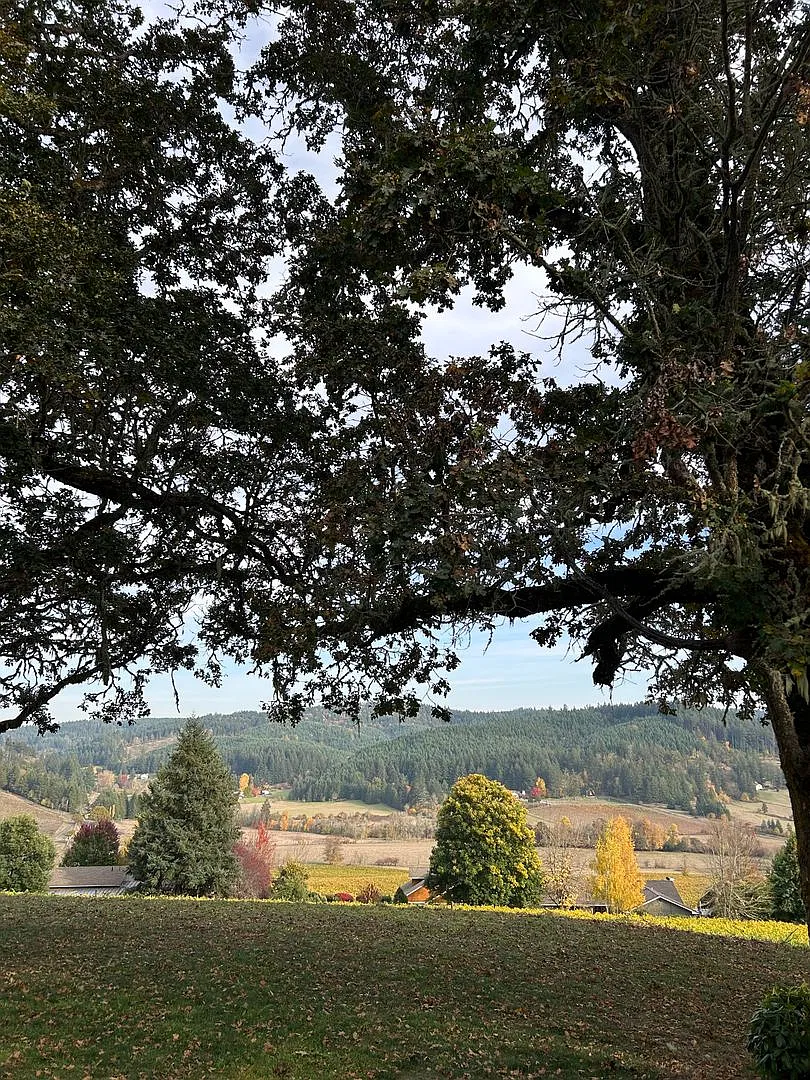 Escape to the country without leaving Eugene! 3B/B house! — Photo 3