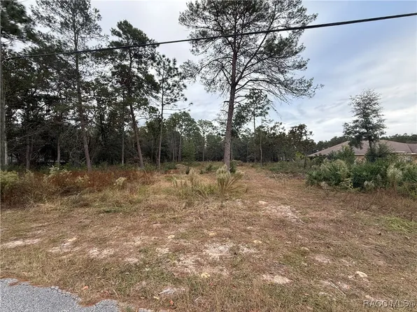 3503 N Tyrone Ave, Hernando, FL 34442