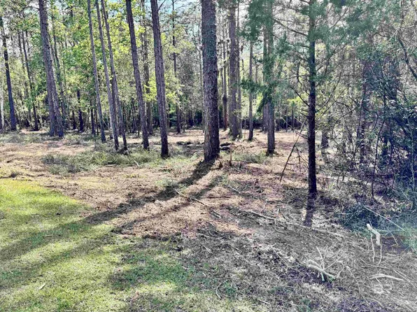 0 Steelwood Ridge Rd, Loxley, AL 36551