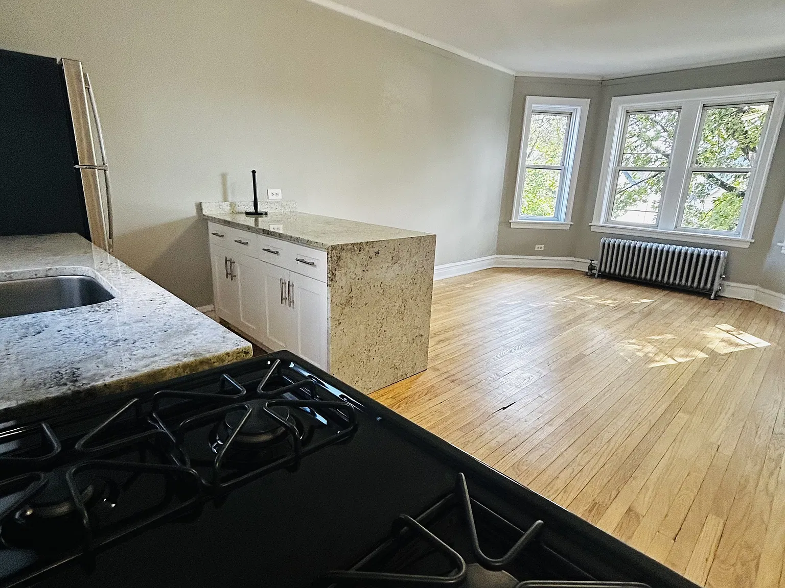 3922 North Milwaukee Avenue — Photo 1
