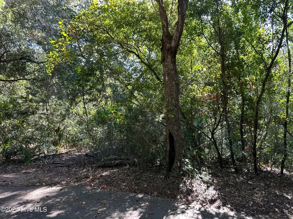 11 Palm Court, Bald Head Island, NC 28461