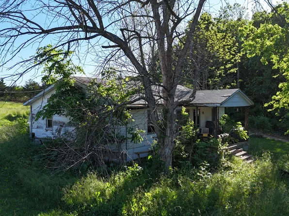 173 Dogtooth Drive, Seymour, MO 65746