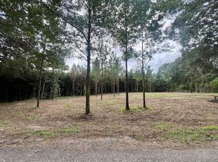 0 Tynes Rd, Sandy Hook, MS 39478