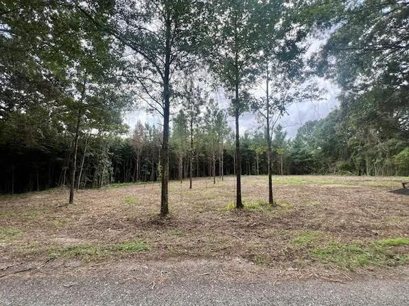 0 Tynes Rd, Sandy Hook, MS 39478