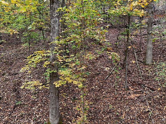 5th image of 0 Lower River Rd NW