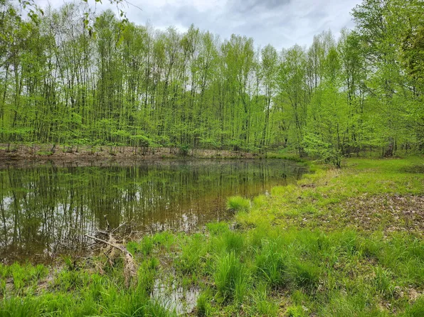 0 Youngsville Rd, Pittsfield, PA 16340
