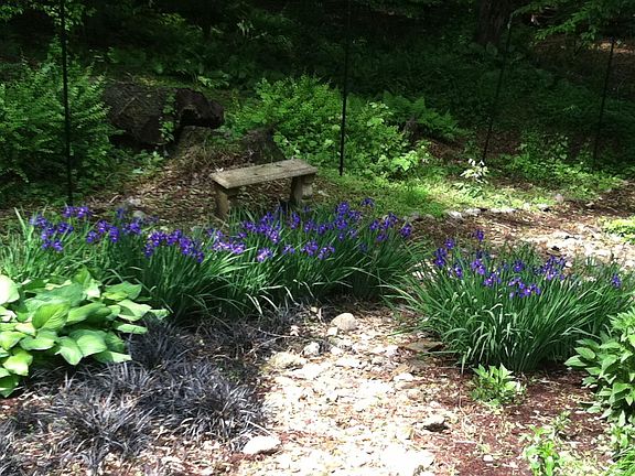 View from screened in porch