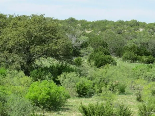 0000-5 San Julian Rd, Roma, TX 78584