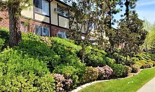 La Jolla Terrace — Photo 14