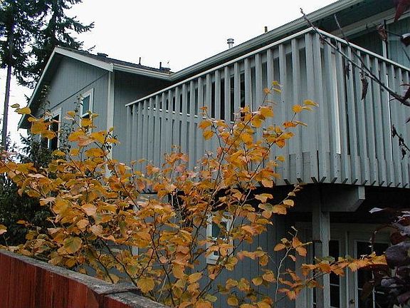 4th image of 5604 73rd Ave NE