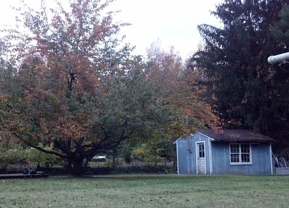 4th image of 92 Magnolia Ave