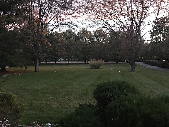 Front yard