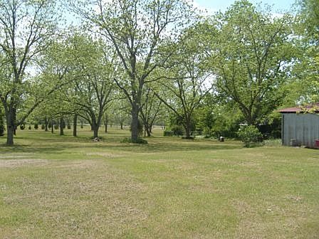 Pecan Orchard and Room for Horses Too!