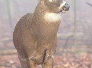 205 Hounslow Rd, Shirley, NY 11967