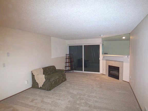 Living room with Gas (=free) fireplace