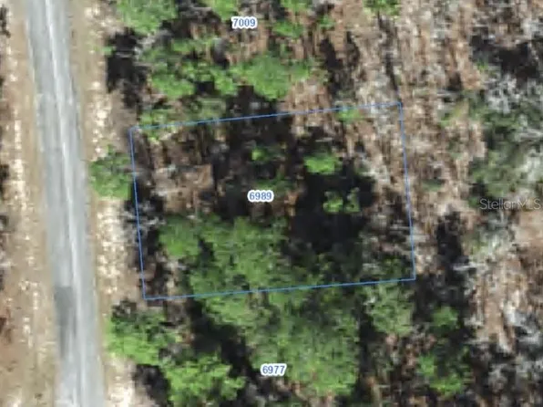 6989 N FOXDALE DRIVE LOT 45, CITRUS SPRINGS, FL 34434