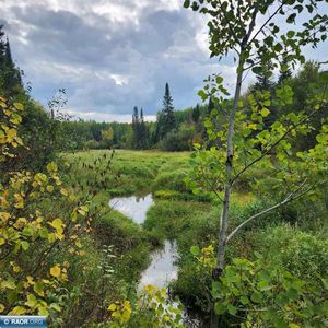 Highway 65, Orr, MN, 55771