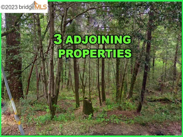 6060 Old Austin Creek Rd, Cazadero, CA 95421