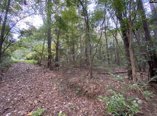 311 Reed Ave, Lexington, SC 29072