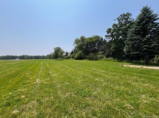 0 Walker Rd, North Street, MI 48049