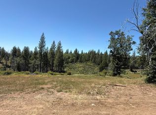 371 Blossom Ln, Rail Road Flat, CA 95248