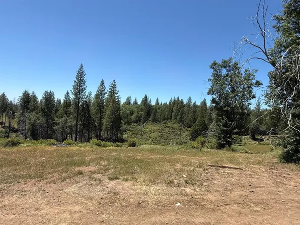 371 Blossom Ln, Rail Road Flat, CA 95248
