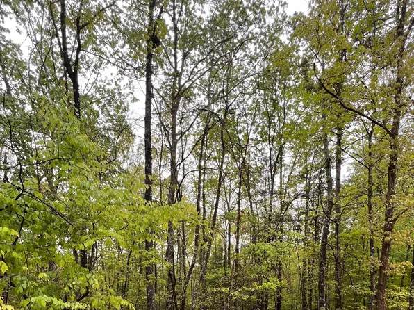 Alamo Trl, Morganton, GA 30560