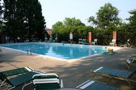 Our swimming pool