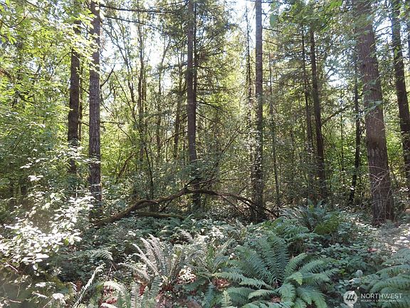 4th image of 115 Campground Lane