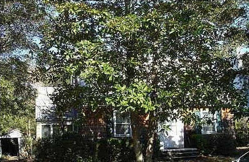 1st image of 109 81st St